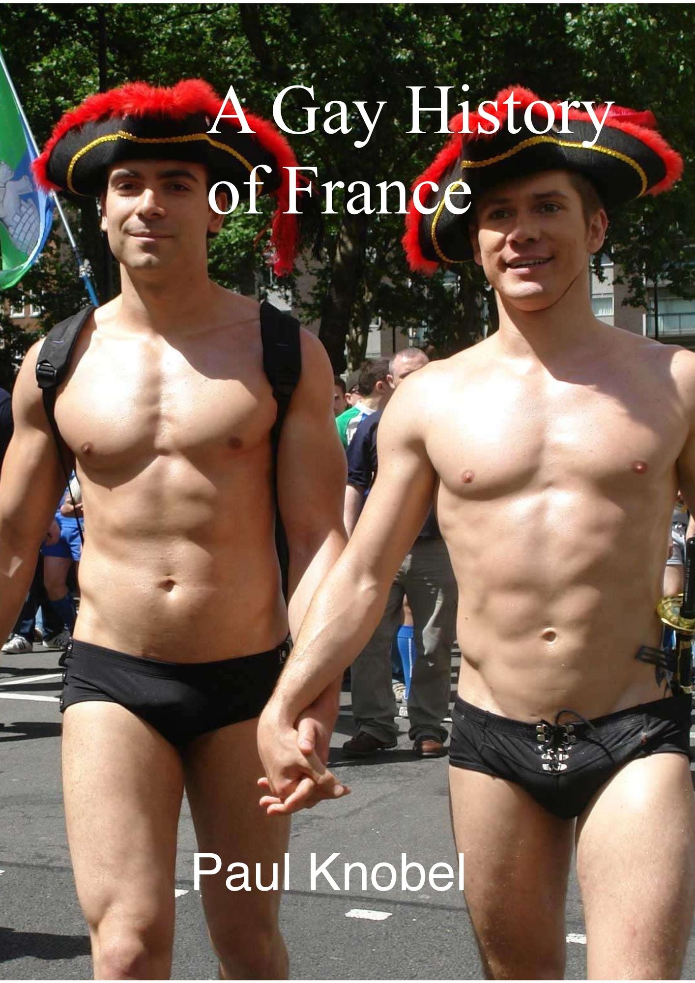 A Gay History of France