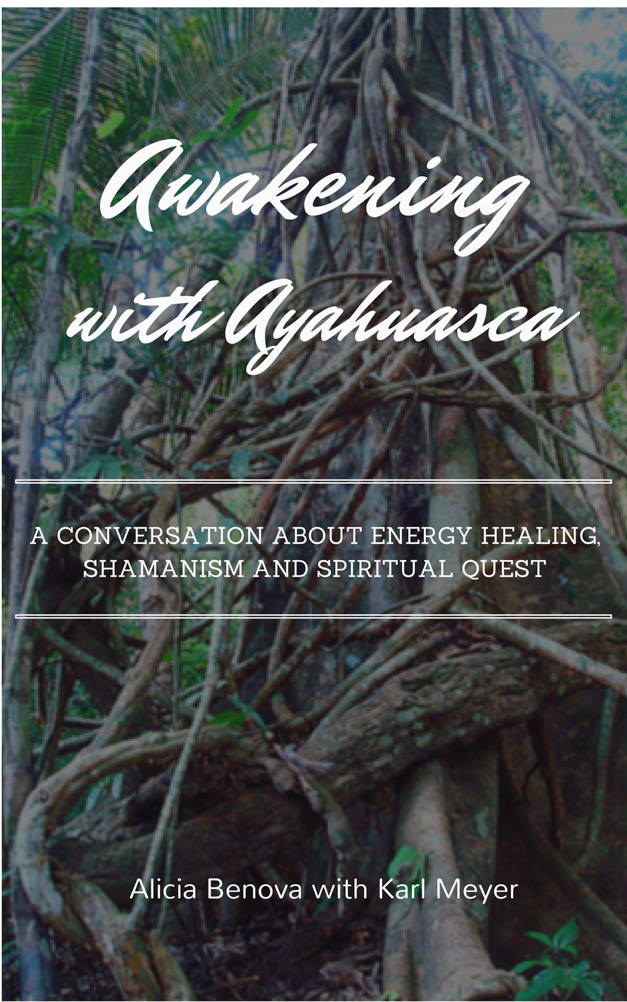 Awakening With Ayahuasca: A Conversation About Energy Healing, Shamanism And A Spiritual Quest