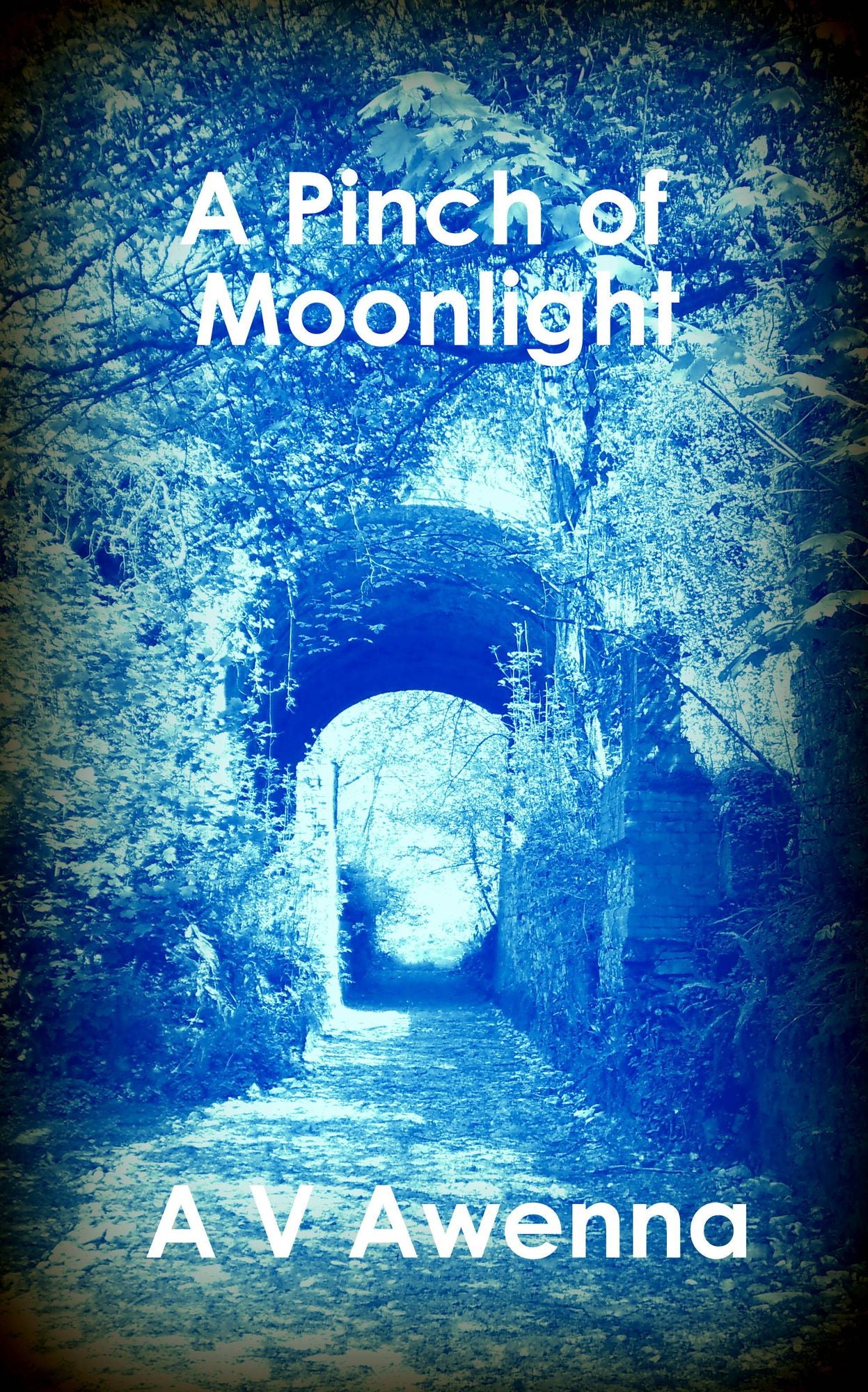 A Pinch of Moonlight