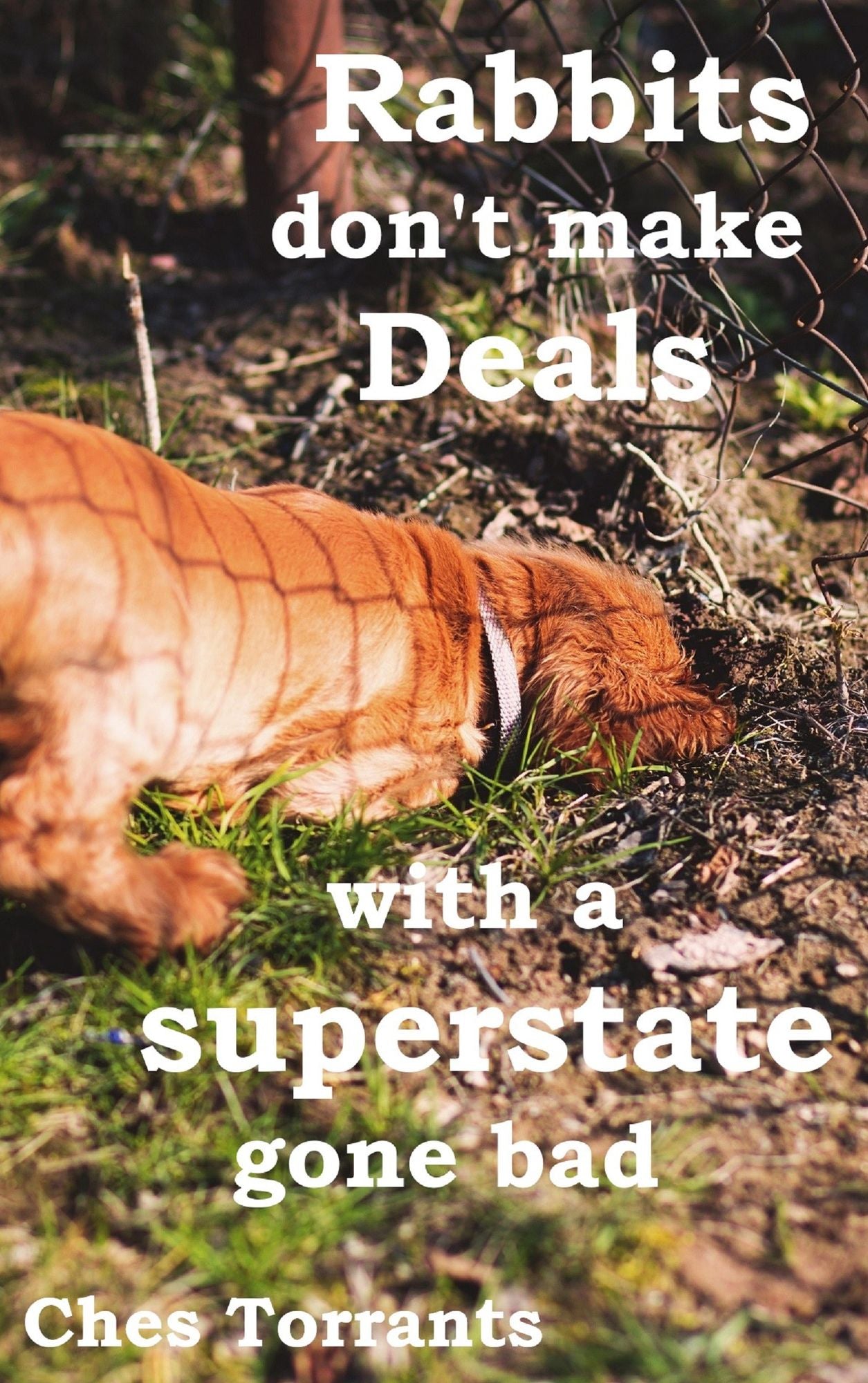 Rabbits Don't Make Deals