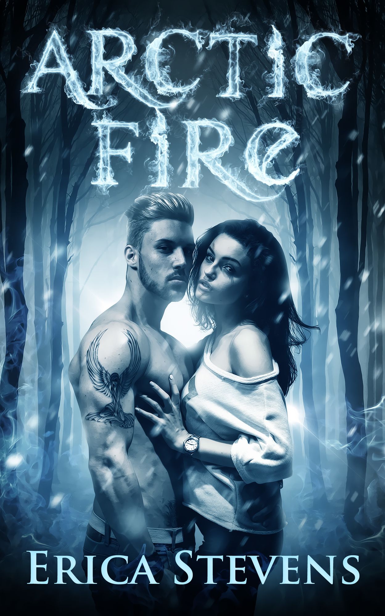 Arctic Fire (The Fire and Ice Series, Book 2)