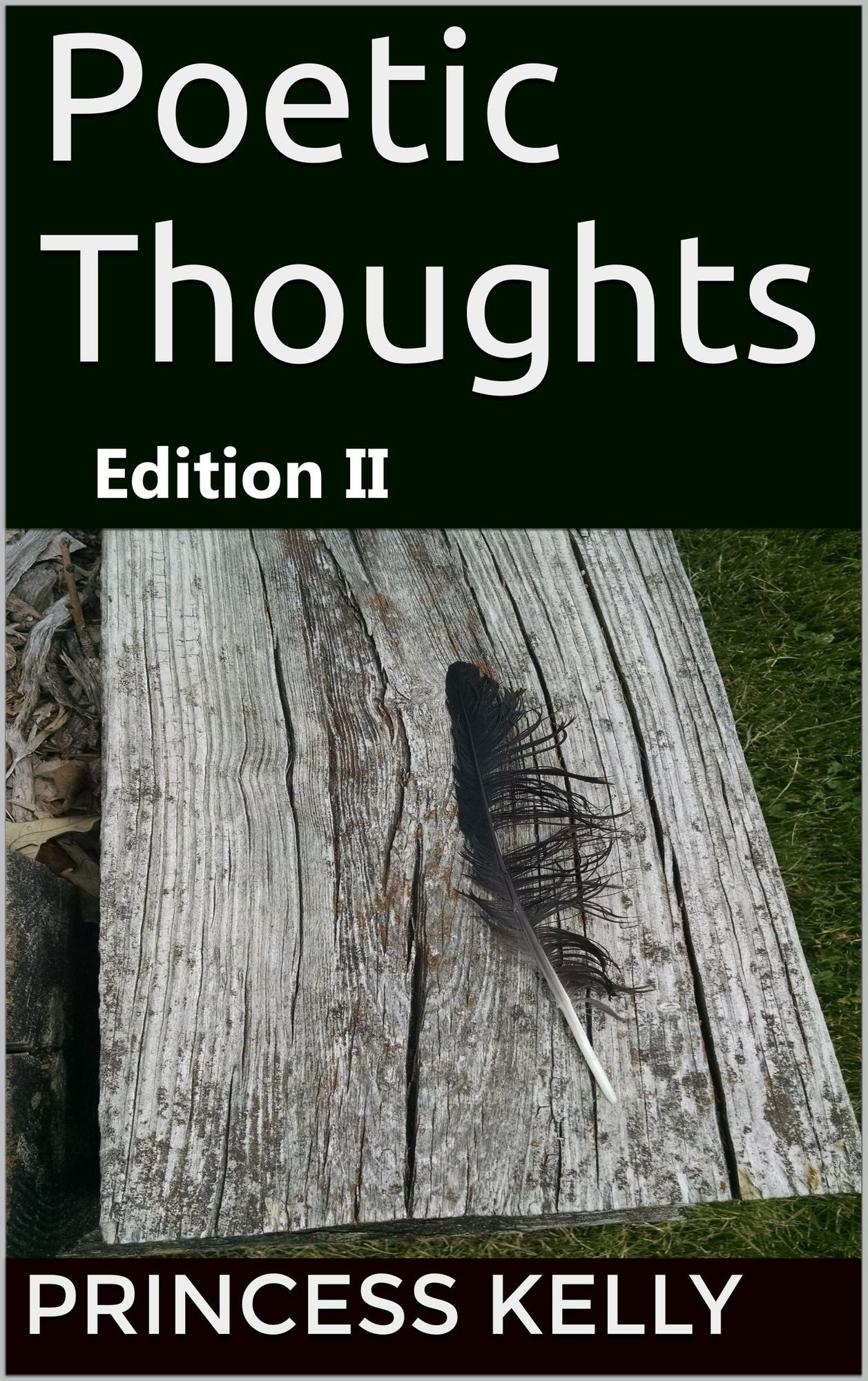 Poetic Thoughts Edition II