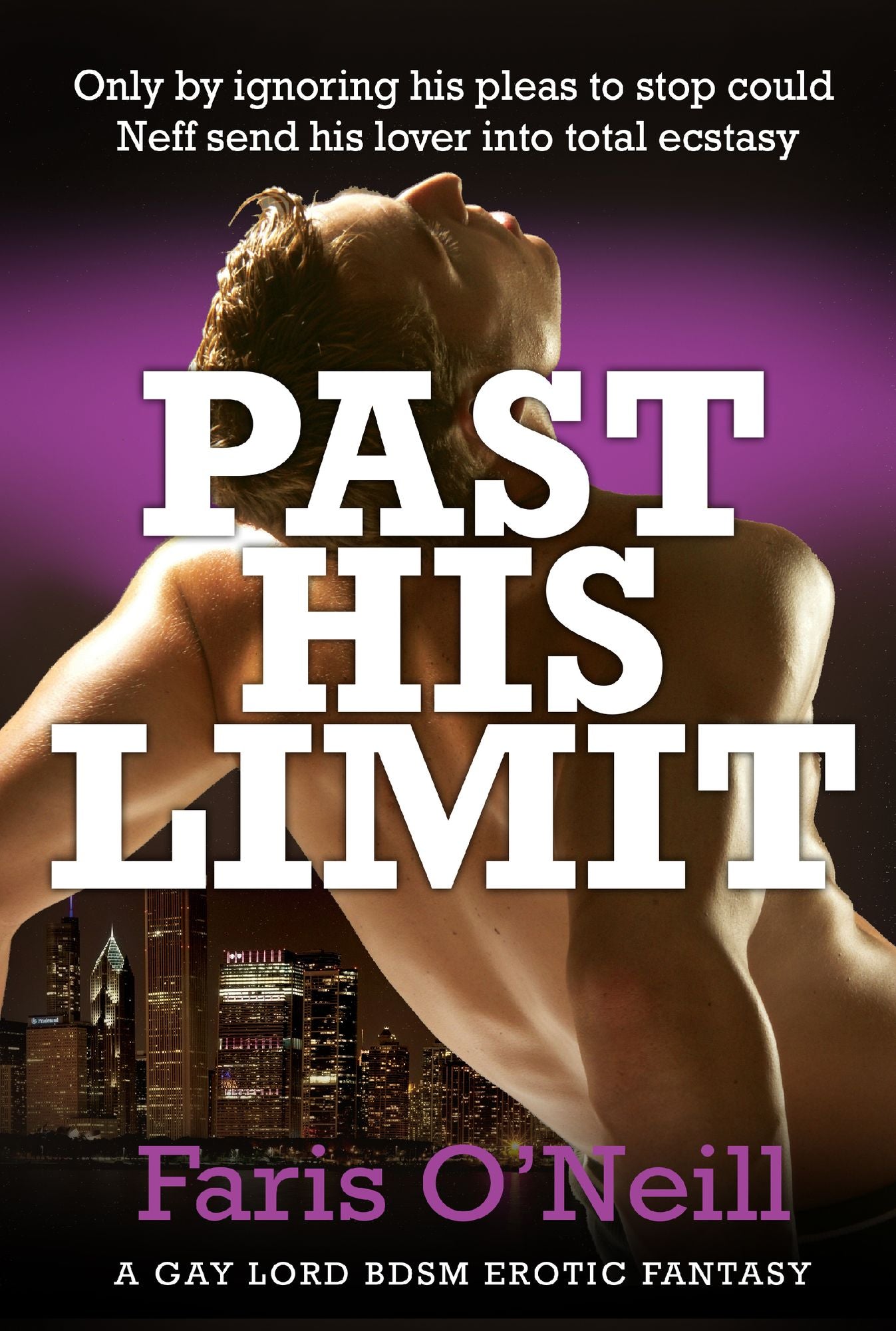 Past His Limit: A Gay Lord BDSM Fantasy