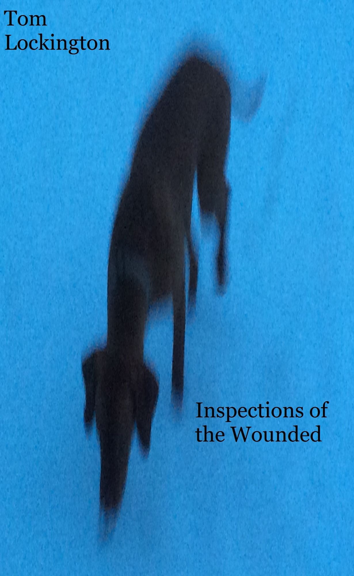 Inspections of the Wounded