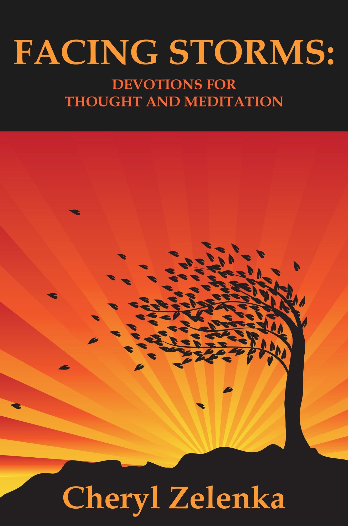 Facing Storms: Devotions for Thought & Meditation