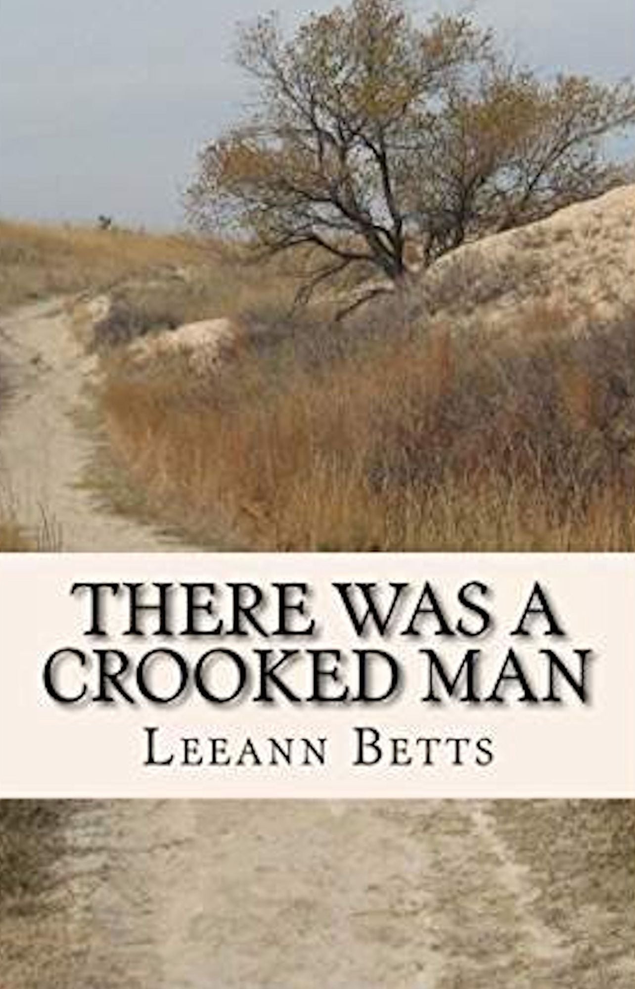 There was a Crooked Man