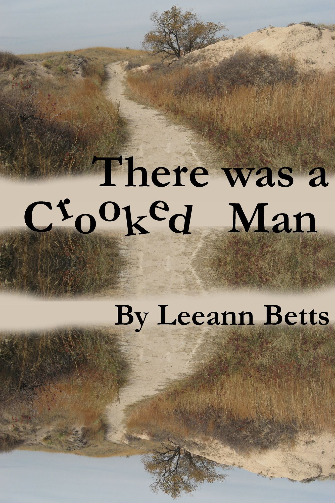 There was a Crooked Man