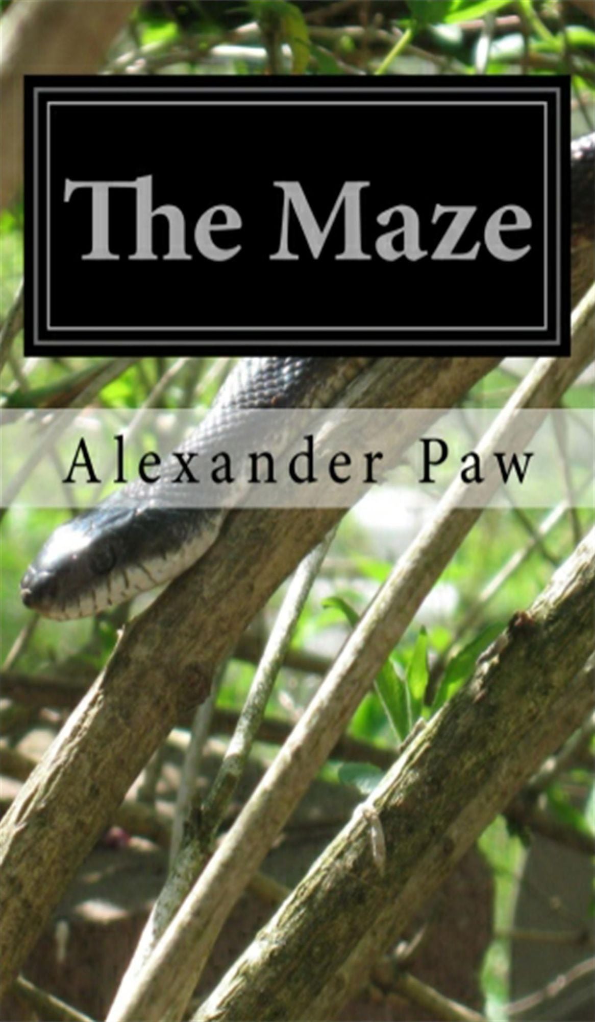 The Maze