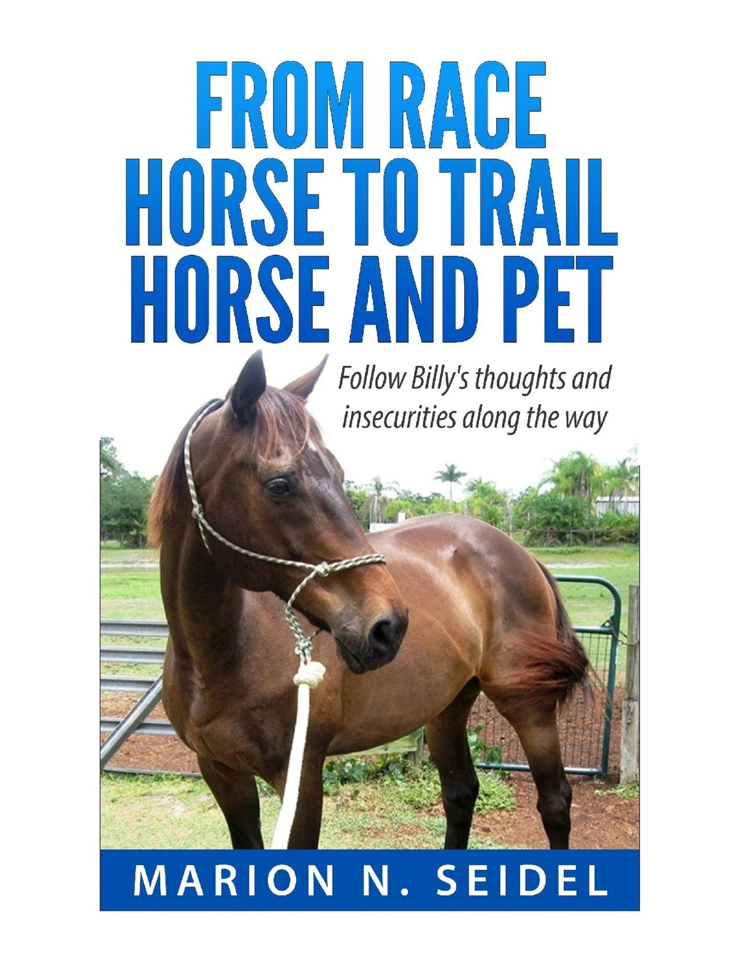 From Race Horse to Trail Horse and Pet