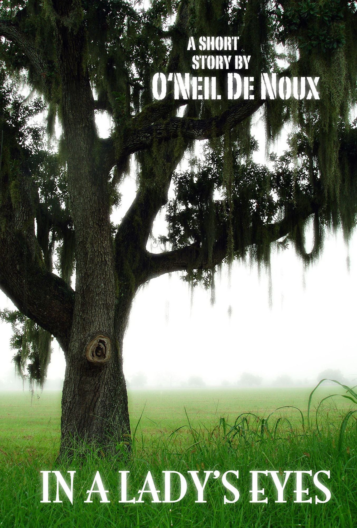 In a Lady's Eyes: A New Orleans Romance