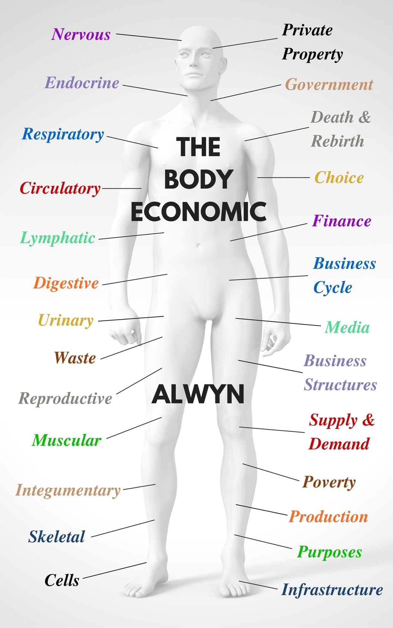 The Body Economic