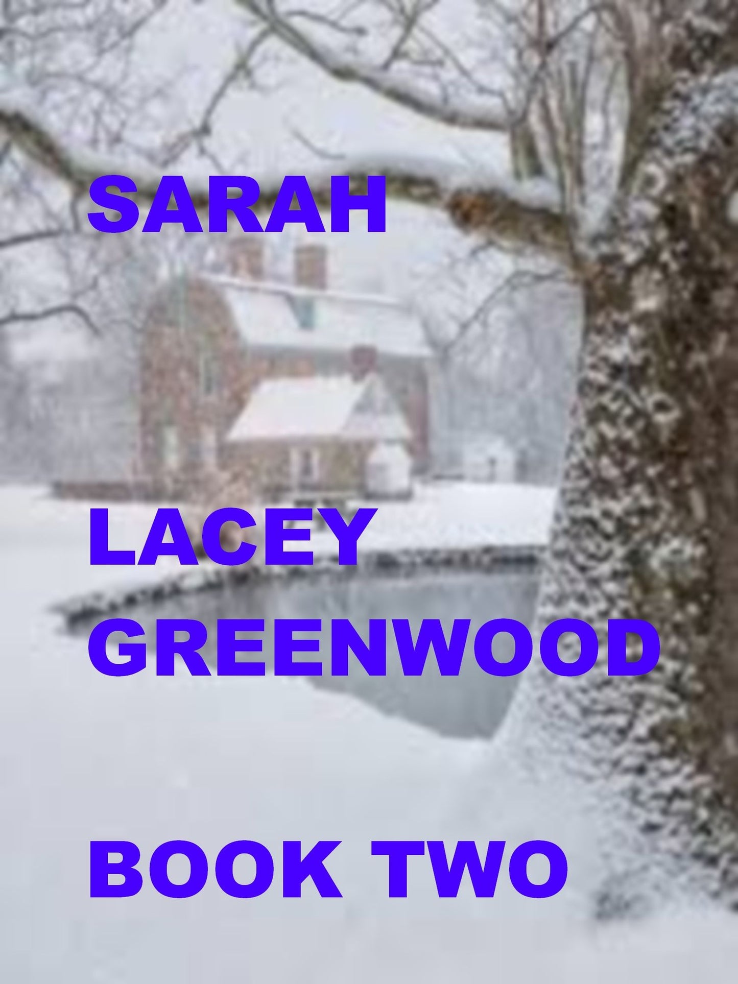 Sarah: Book Two