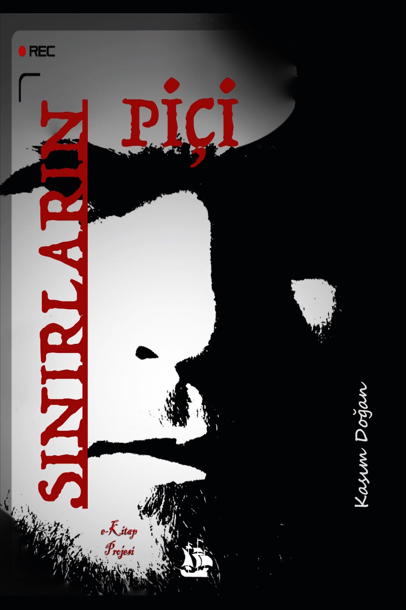 Sinirlarin Pici