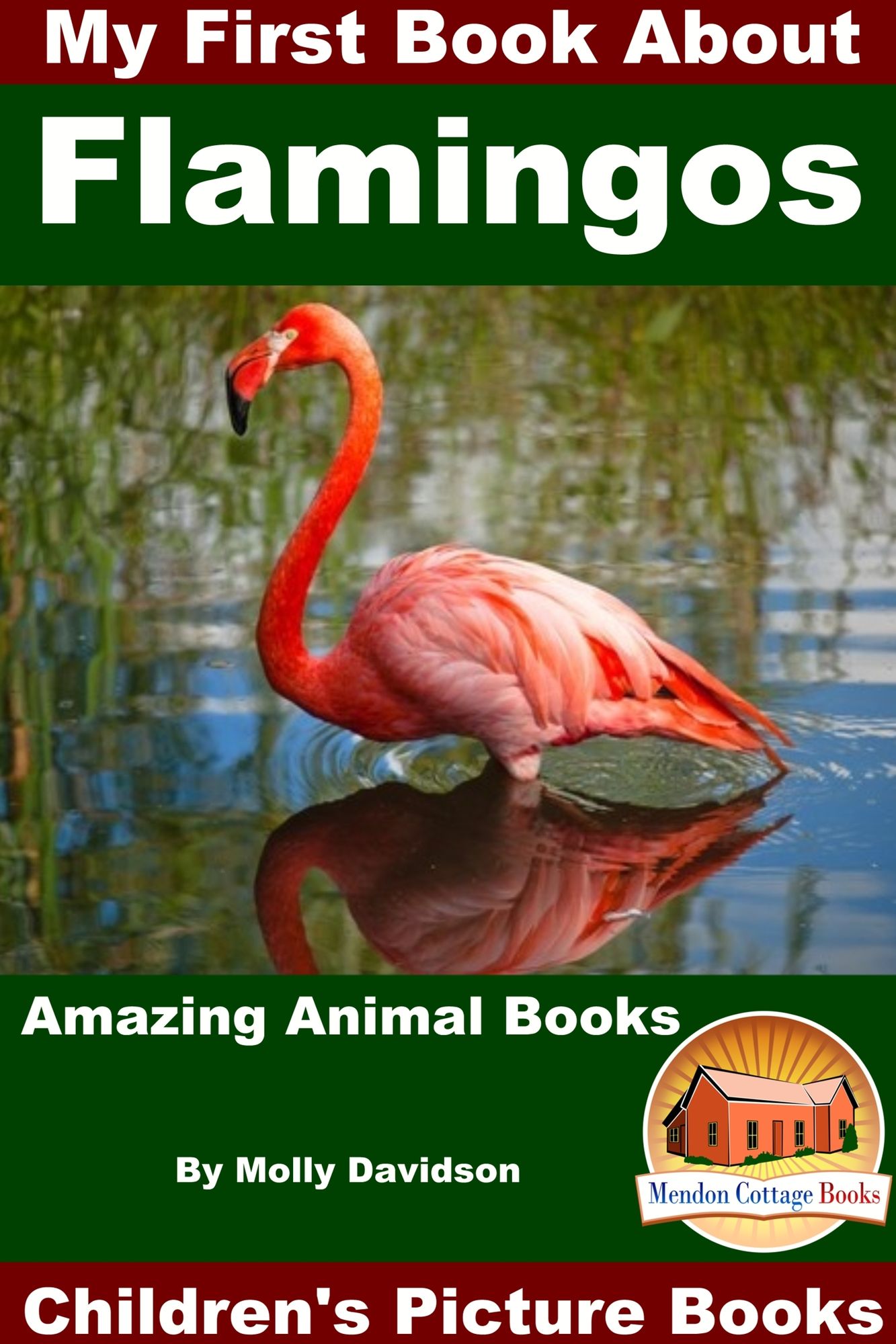 My First Book About Flamingos: Amazing Animal Books - Children's Picture Books