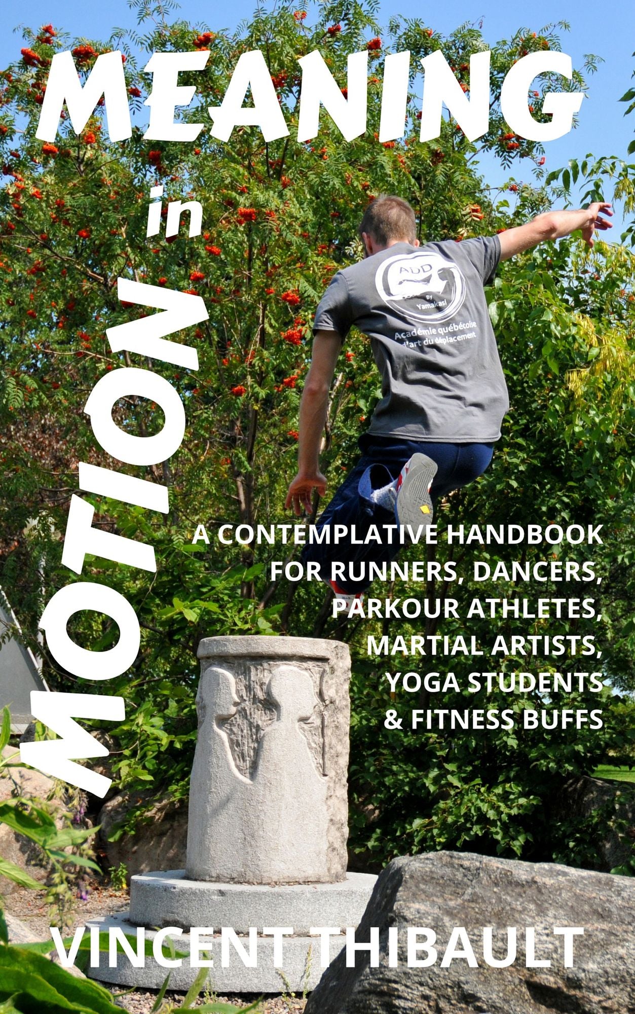 Meaning in Motion: A contemplative handbook for runners, dancers, parkour athletes, martial artists, yoga students and fitness buffs