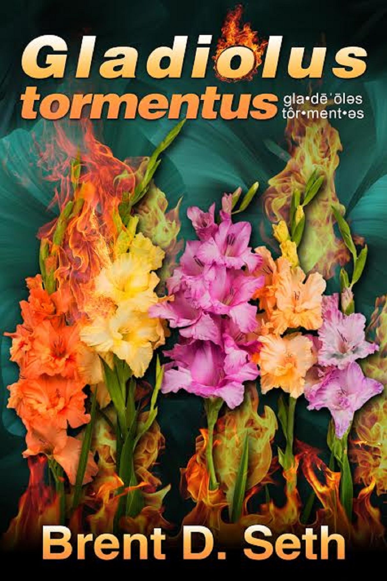 Gladiolus tormentus