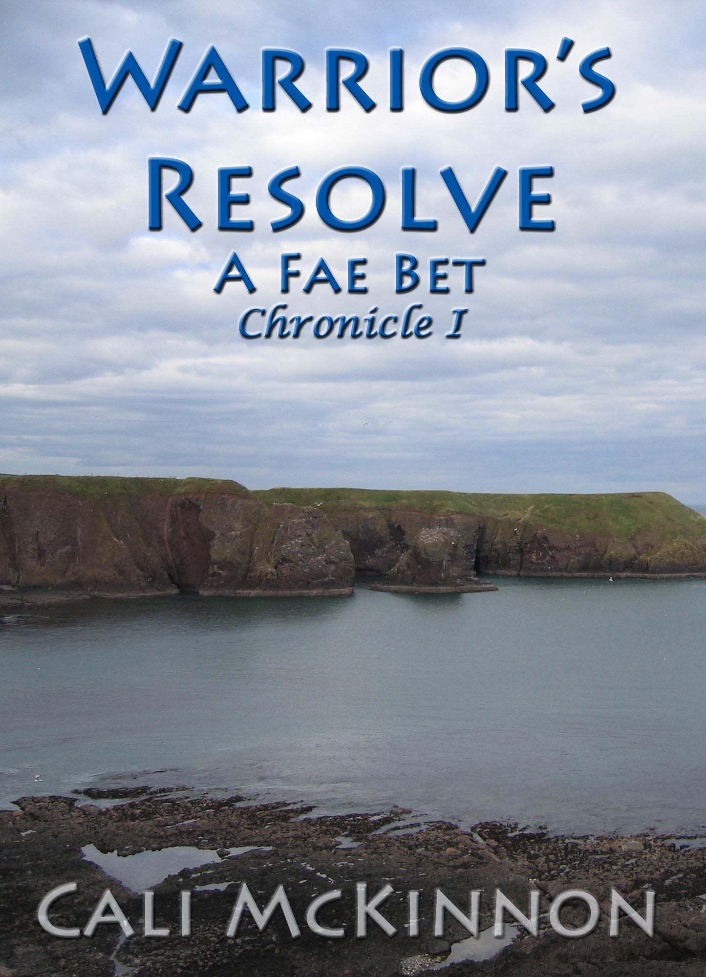 Warrior's Resolve: a Fae Bet