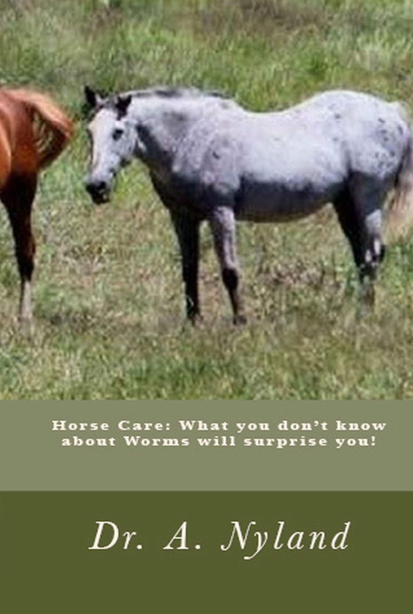 Horse Care: What you don't know about Worms will surprise you!