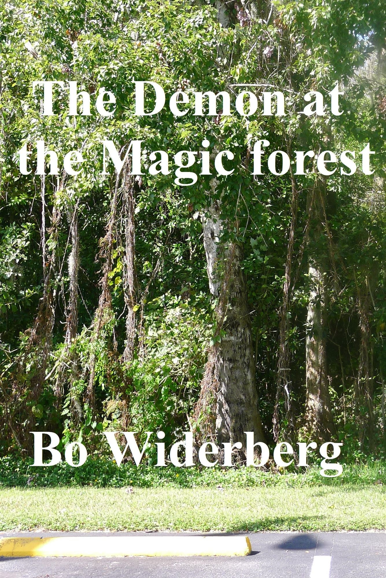The Demon of the Magic Forest