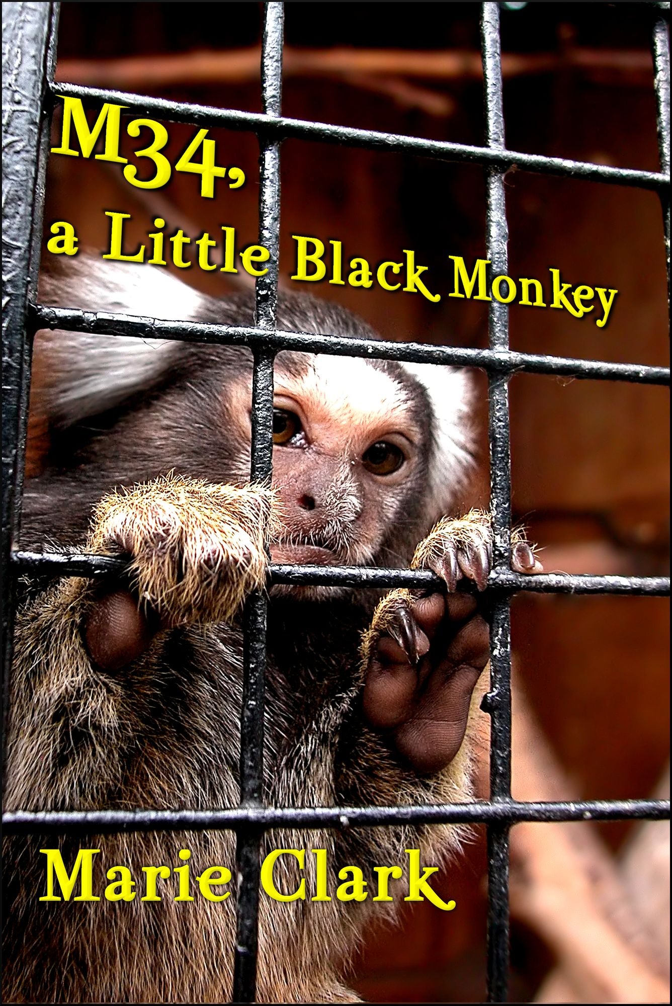 M34, a Little Black Monkey