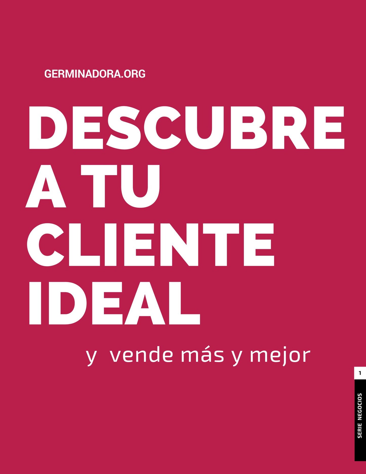 Descubre a tu Cliente Ideal y Vende Más y Mejor