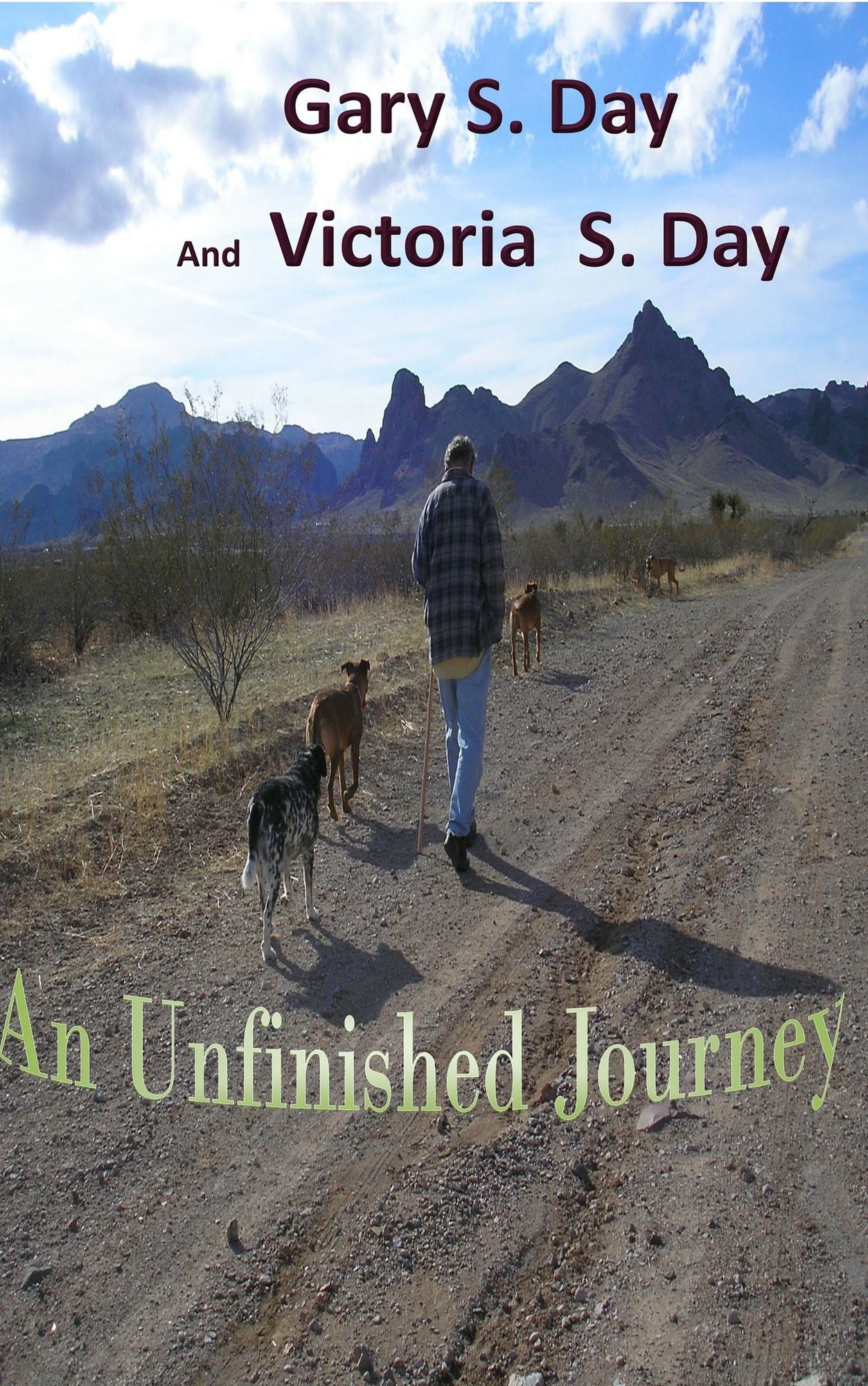 An Unfinished Journey