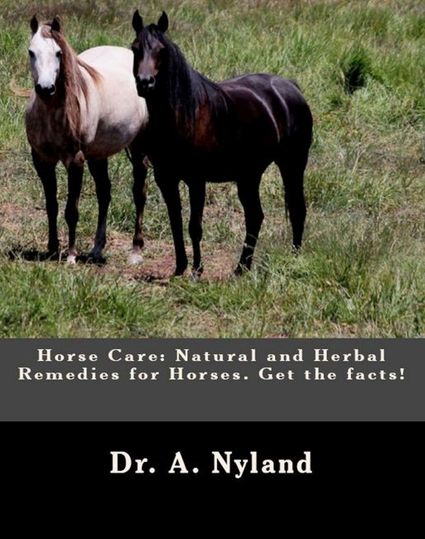 Horse Care: Natural and Herbal Remedies for Horses. Get the facts!