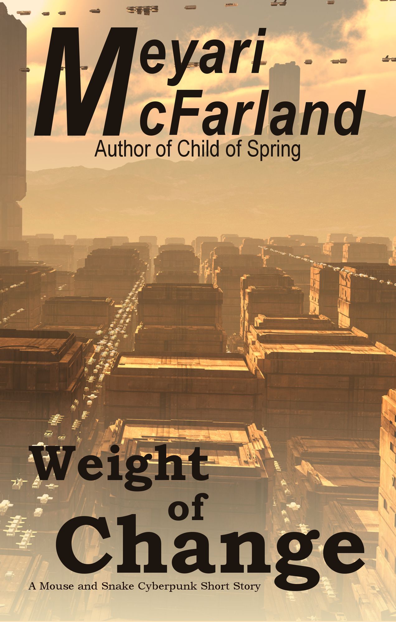 Weight of Change