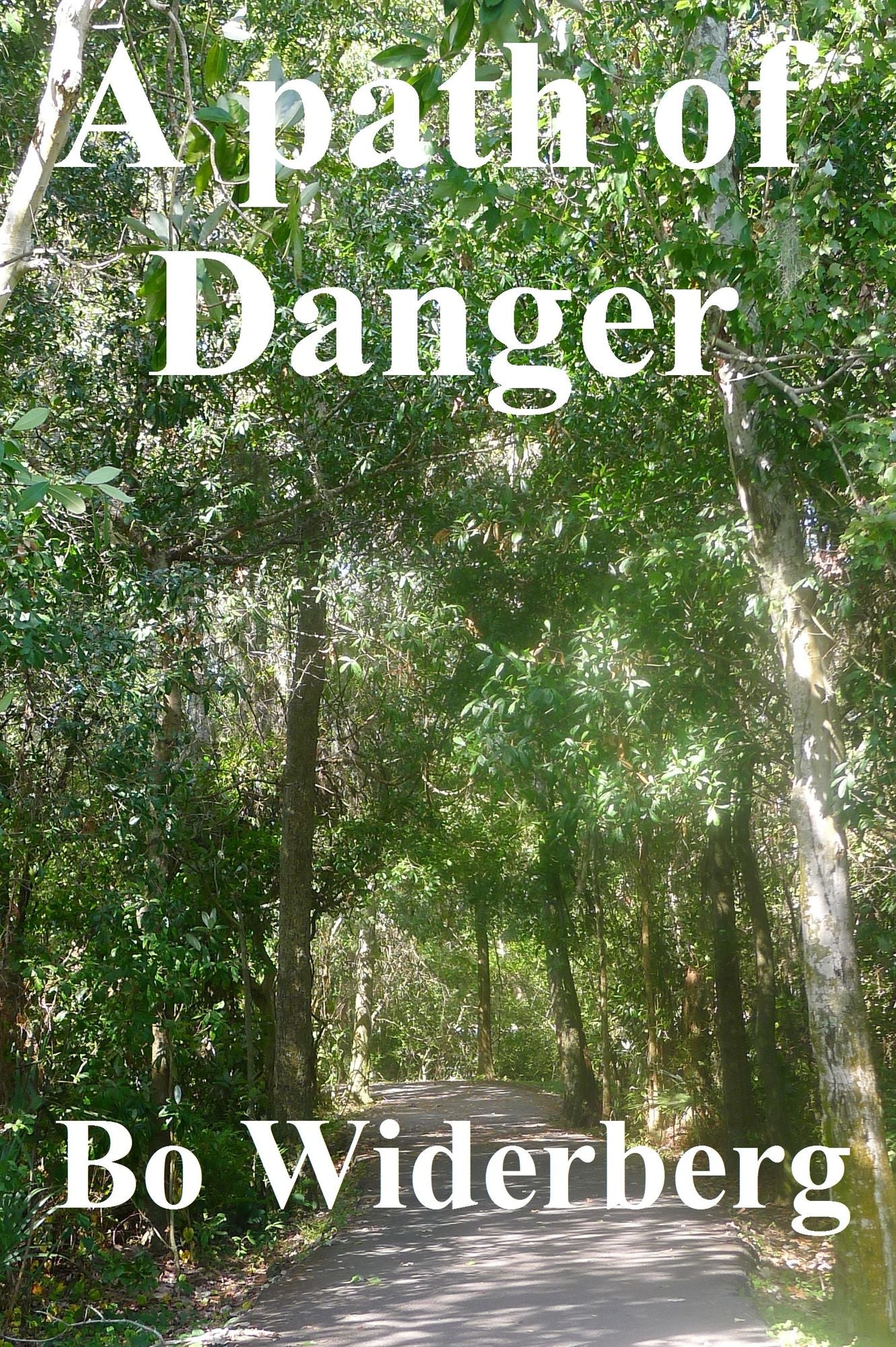 A Path of Danger