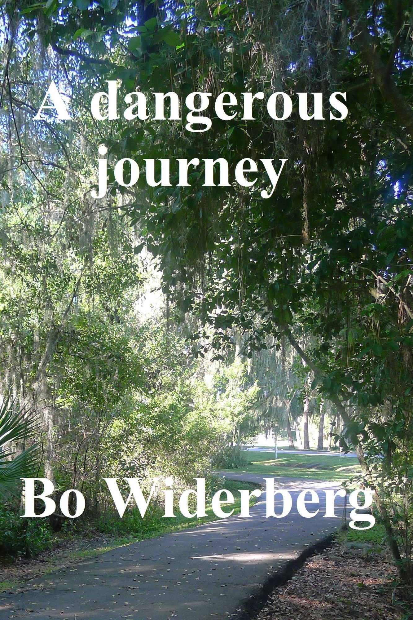 A Dangerous Journey