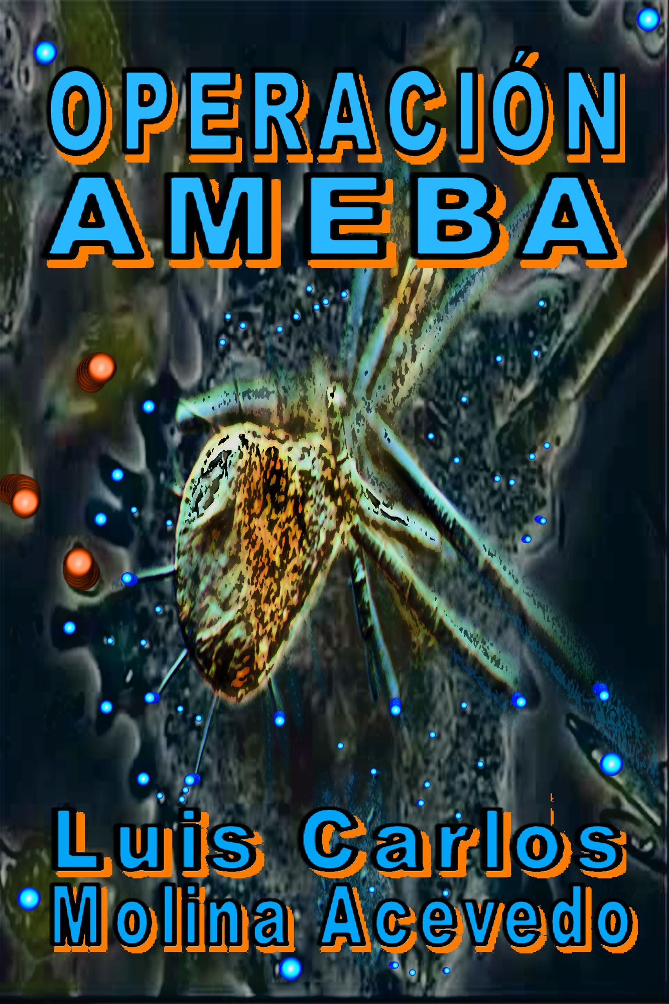 Operación Ameba