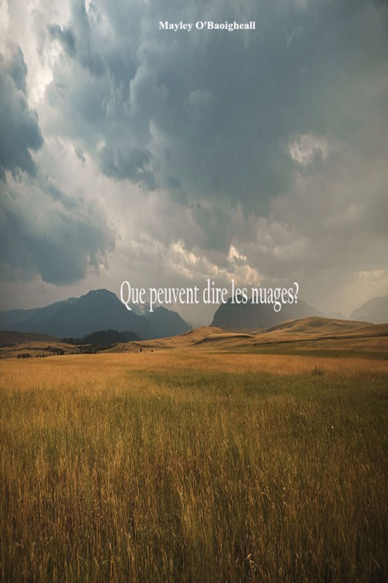 Que peuvent dire les nuages?