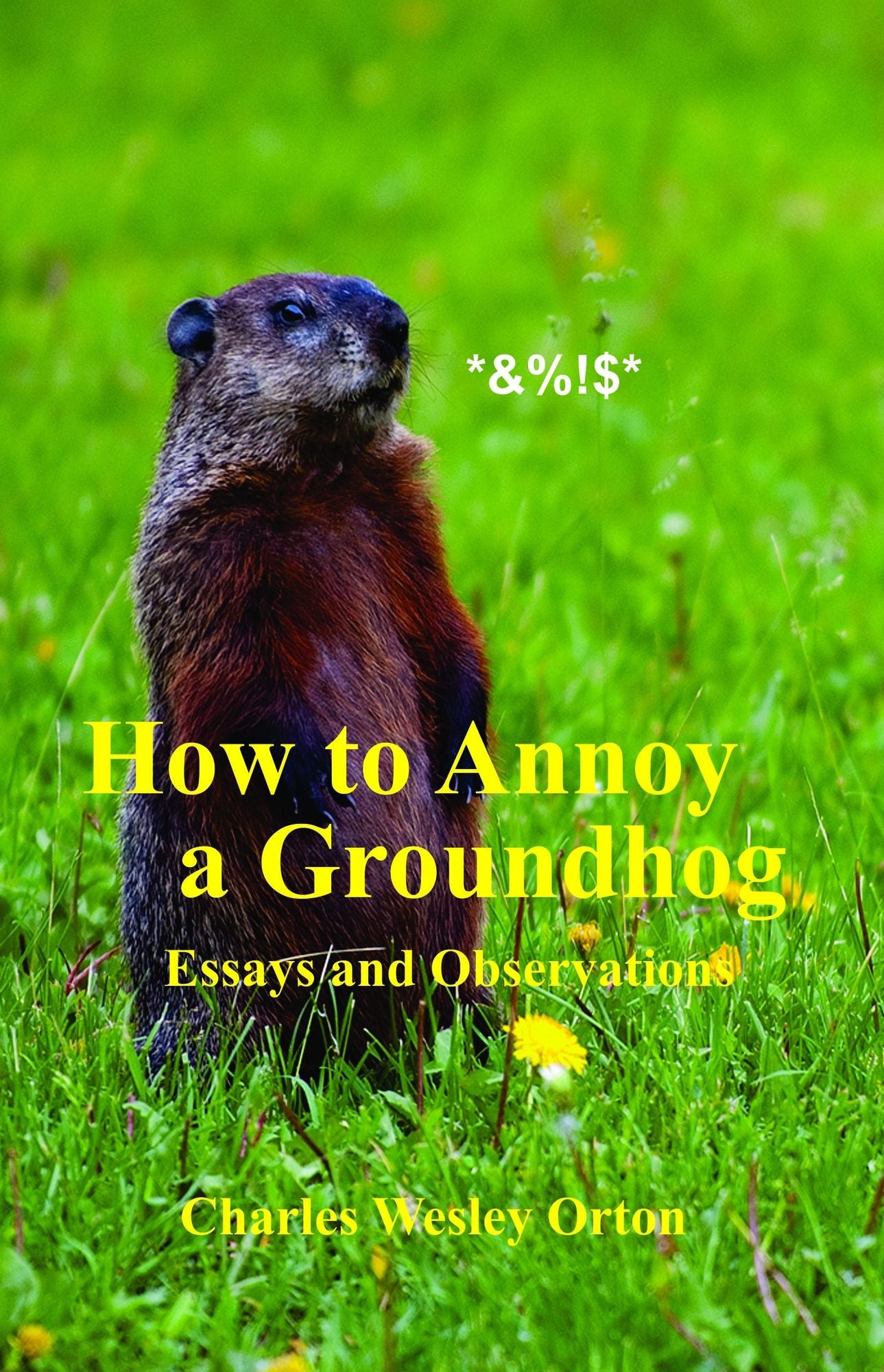 How to Annoy a Groundhog