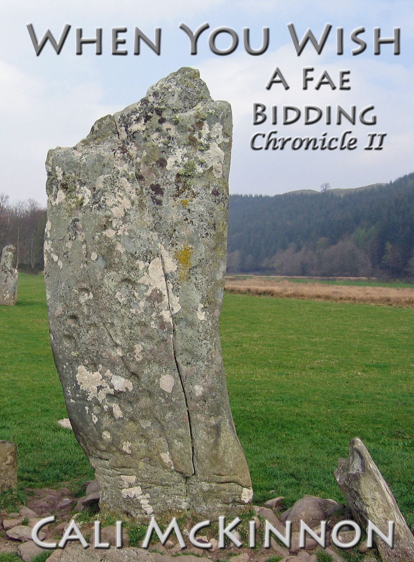 When You Wish: a Fae Bidding