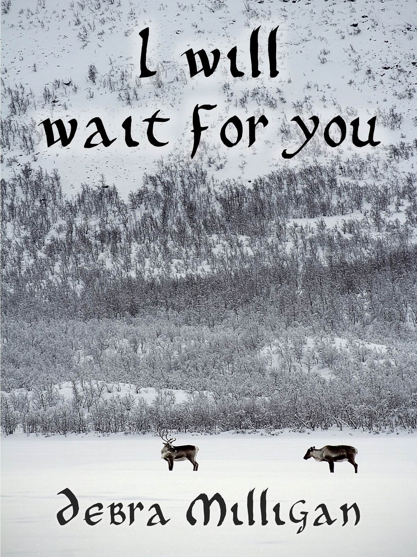 I Will Wait for You