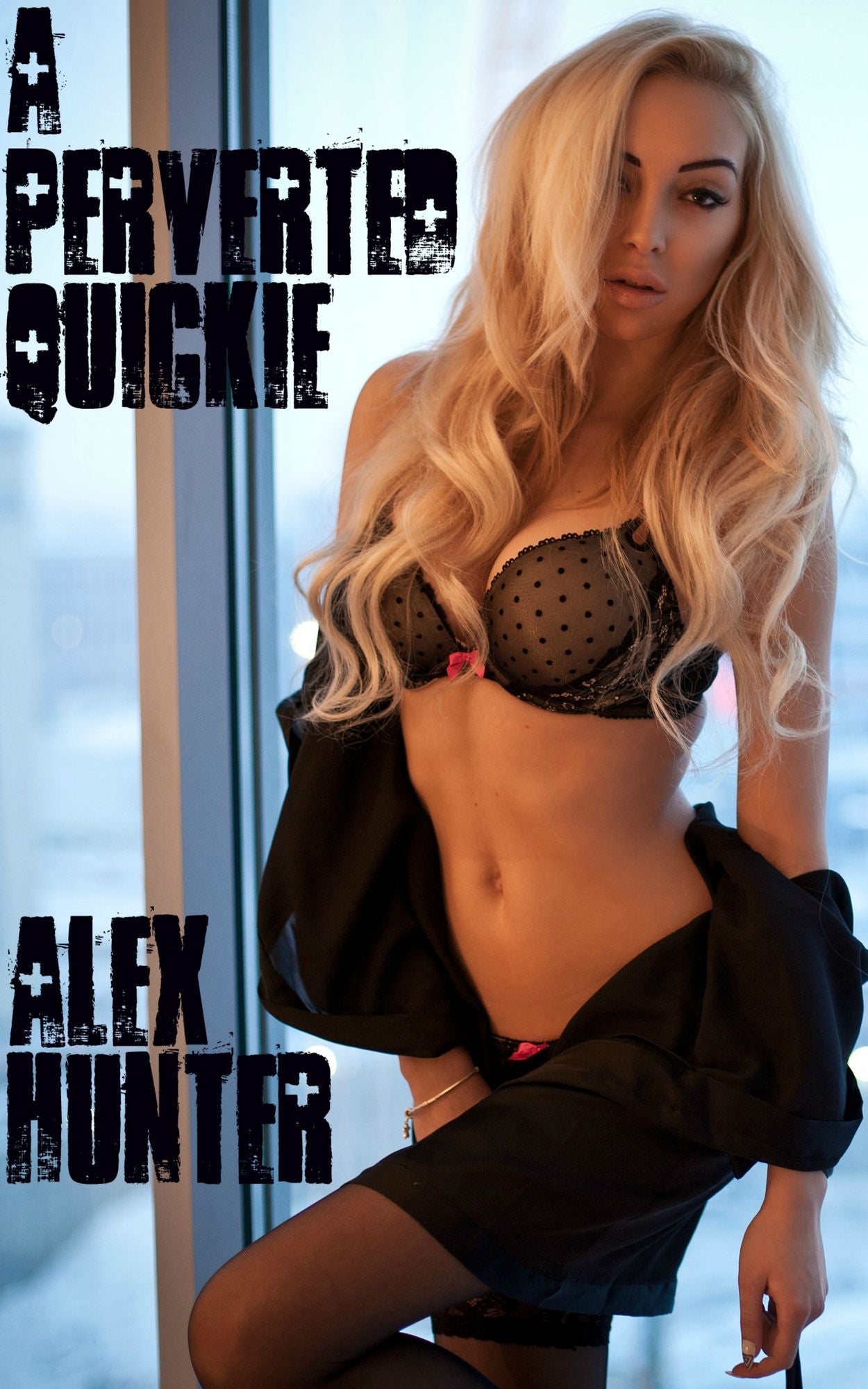 A Perverted Quickie