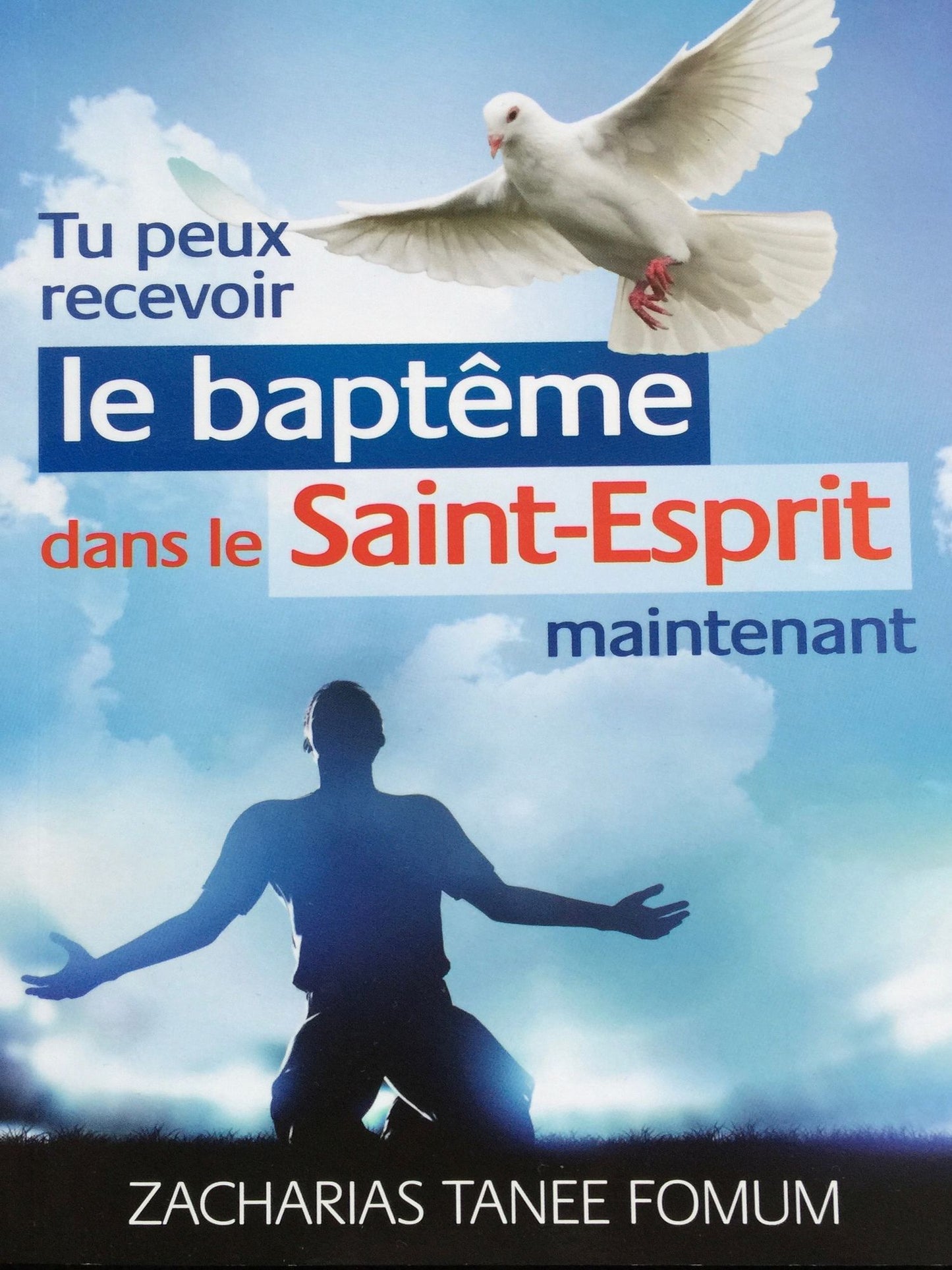 Tu Peux Recevoir Le Baptême Dans Le Saint-Esprit Maintenant