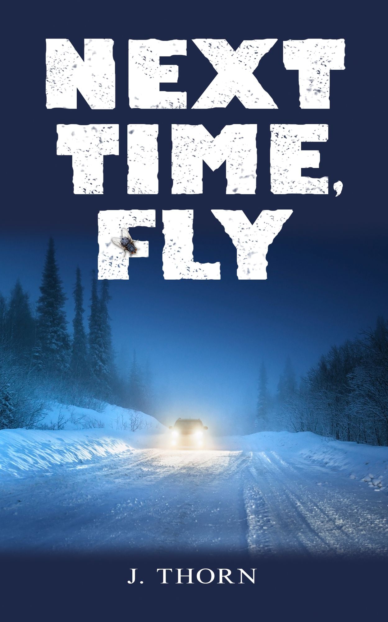 Next Time, Fly
