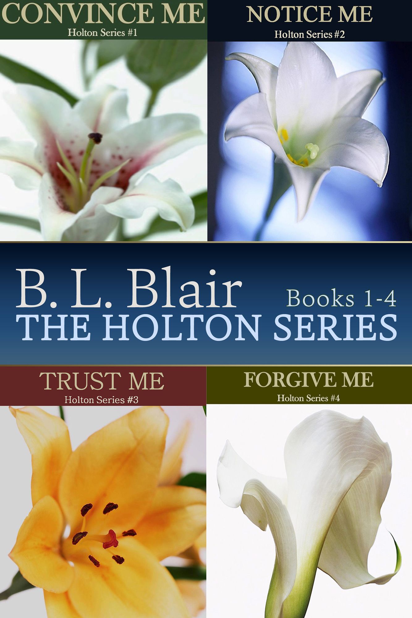 The Holton Series Box Set