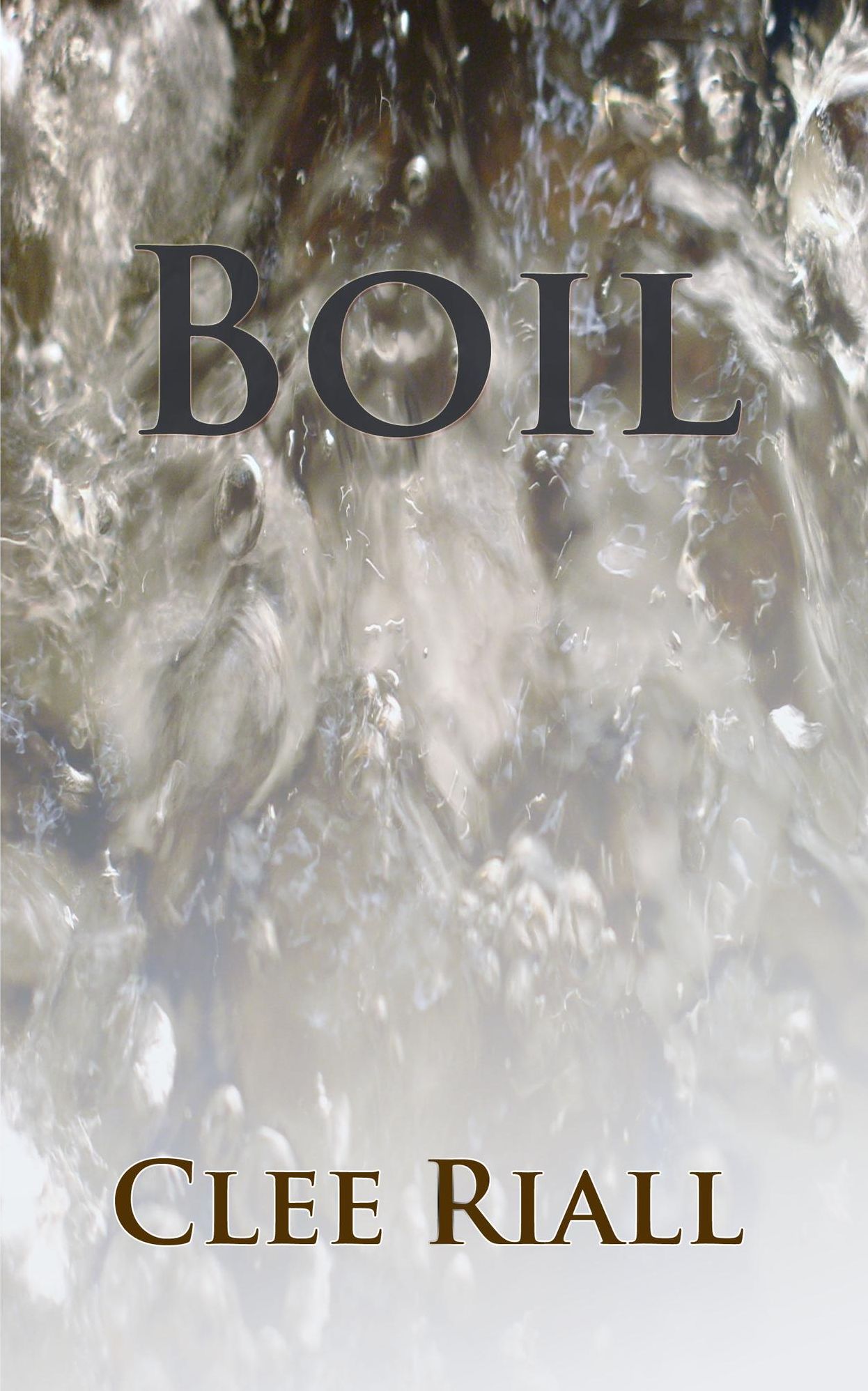 Boil (A Tori Nichols Escapade, Book 2)
