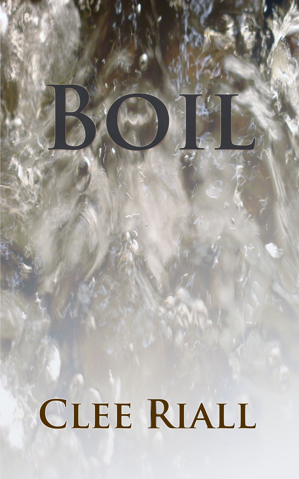 Boil (A Tori Nichols Escapade, Book 2)