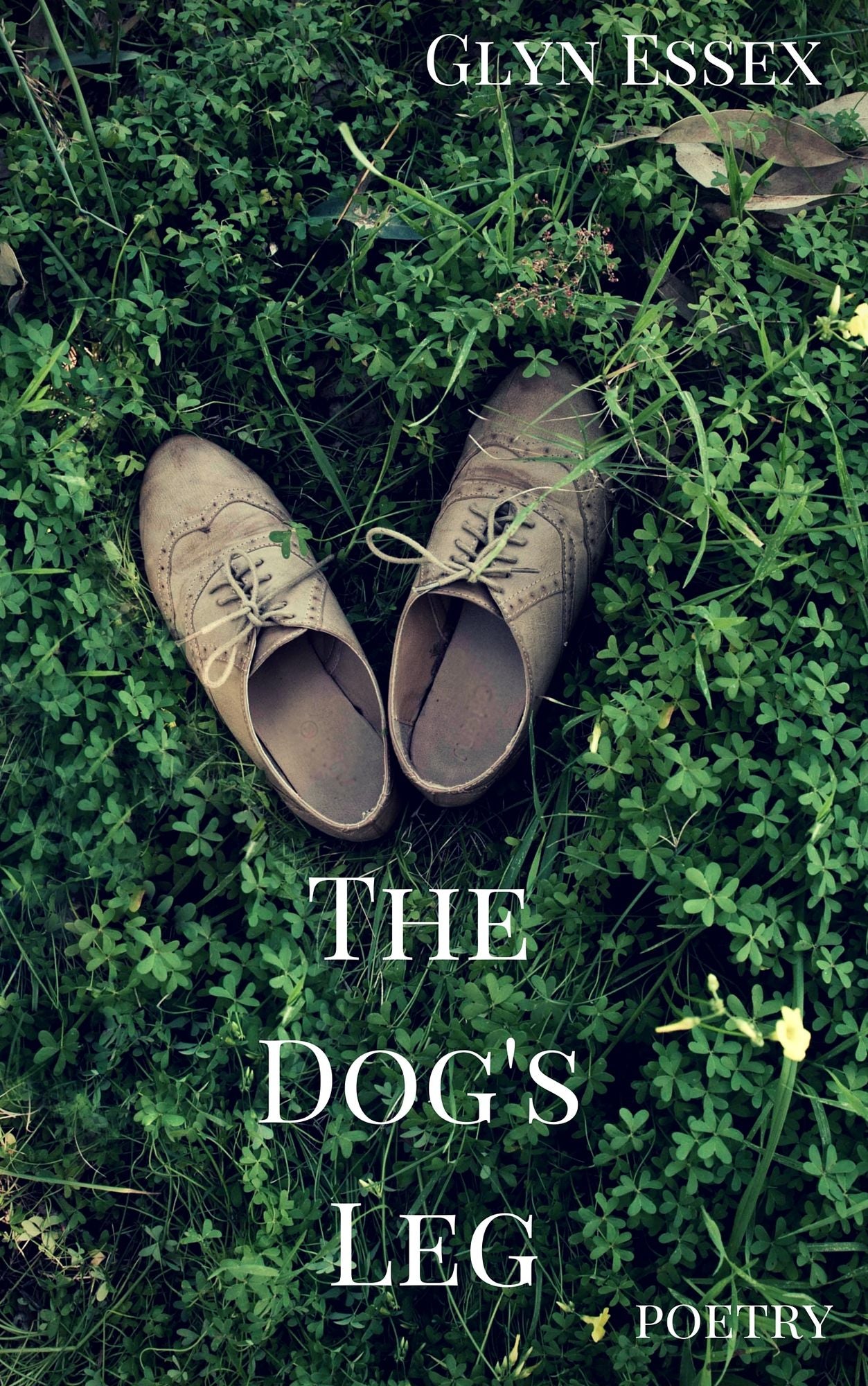 The Dog's Leg