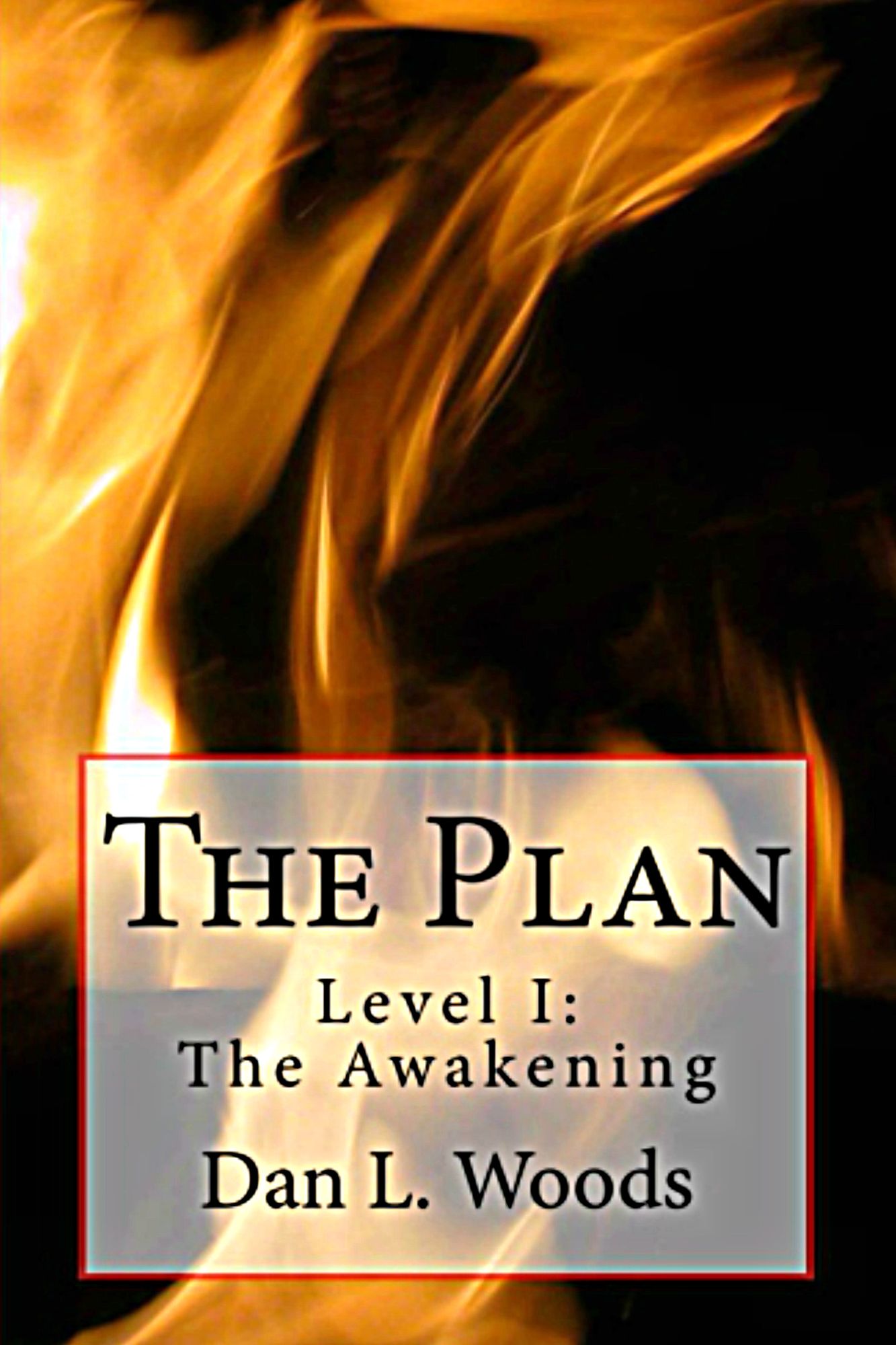 The Plan Level I: The Awakening