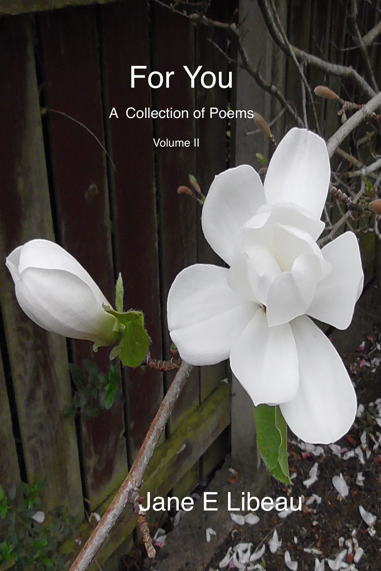 For You. A Collection of Poems, Volume II