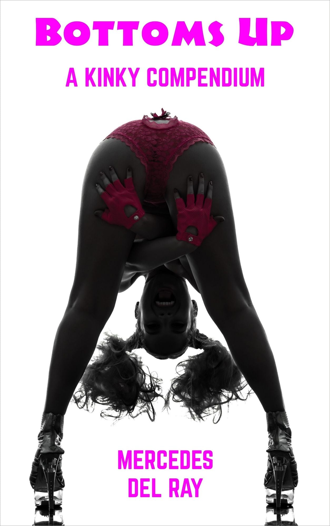Bottoms Up: A Kinky Compendium