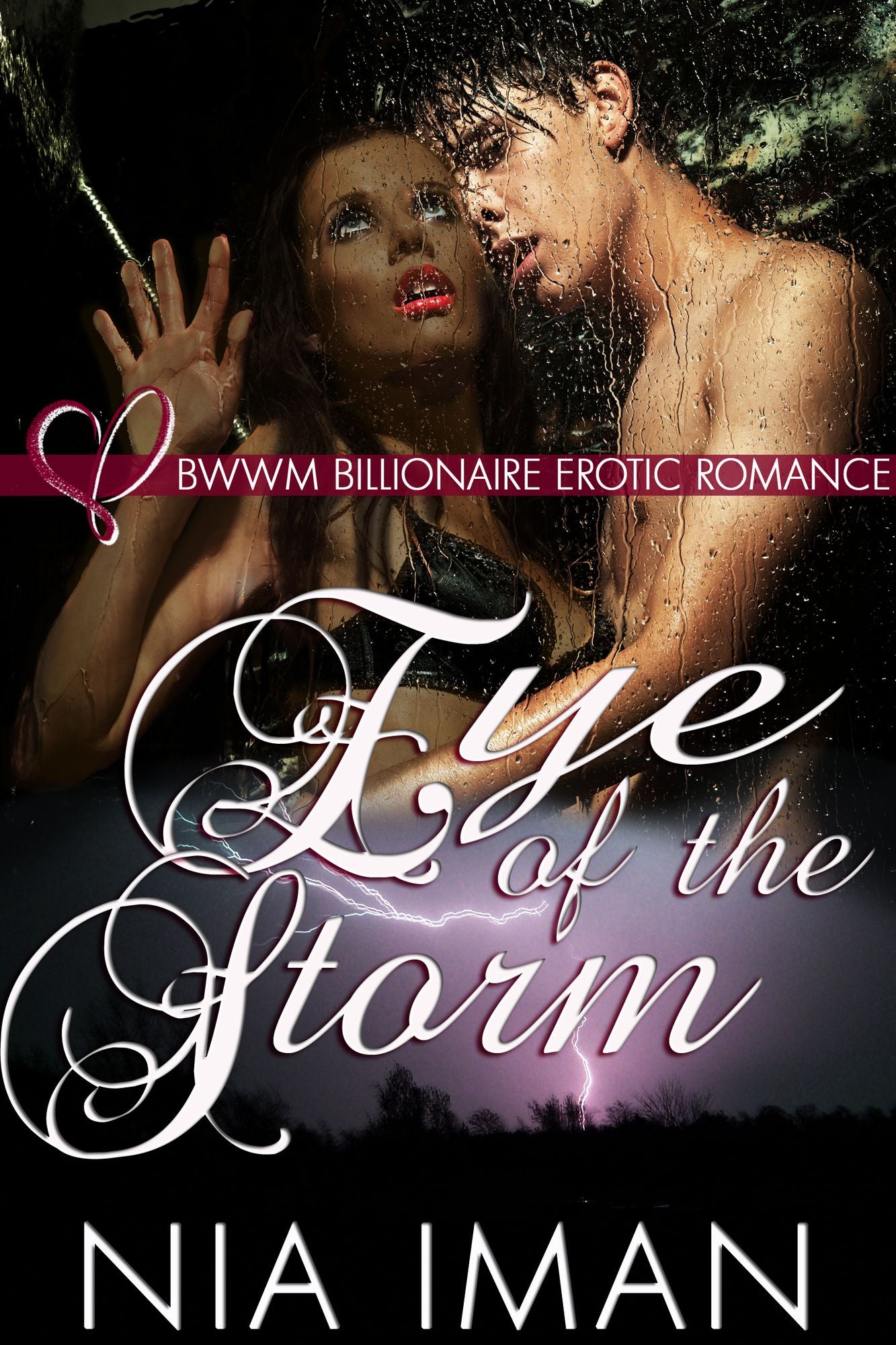 Eye of the Storm: BWWM Billionaire Erotic Romance