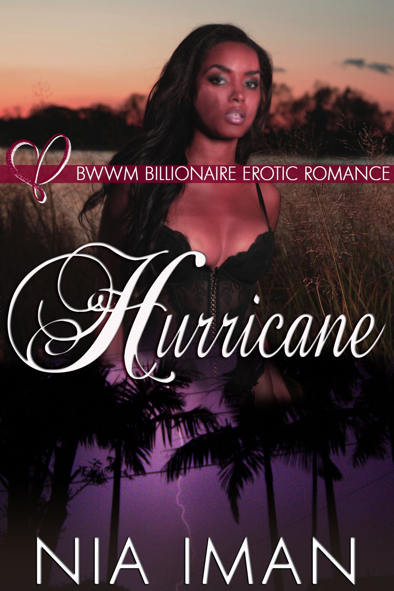 Hurricane: BWWM Billionaire Erotic Romance