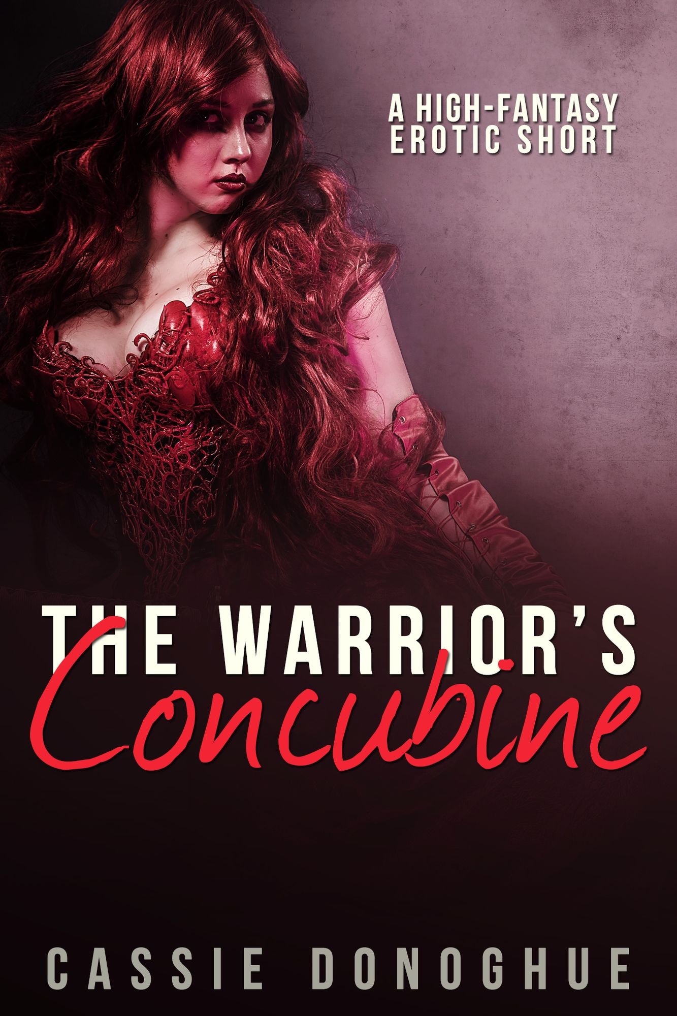 The Warrior's Concubine: A High-Fantasy Erotic Short