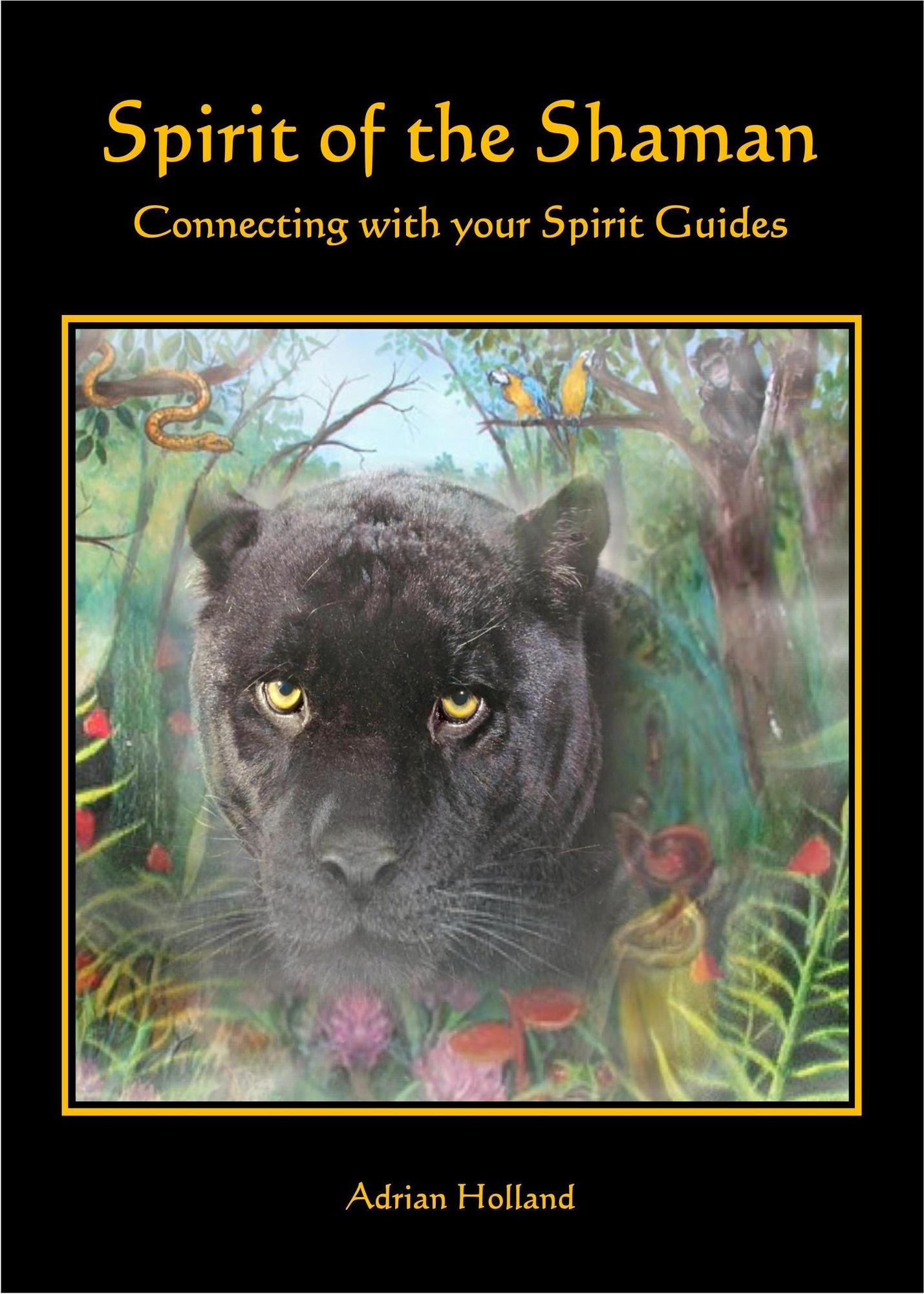 Spirit of the Shaman: Connecting with your Spirit Guides