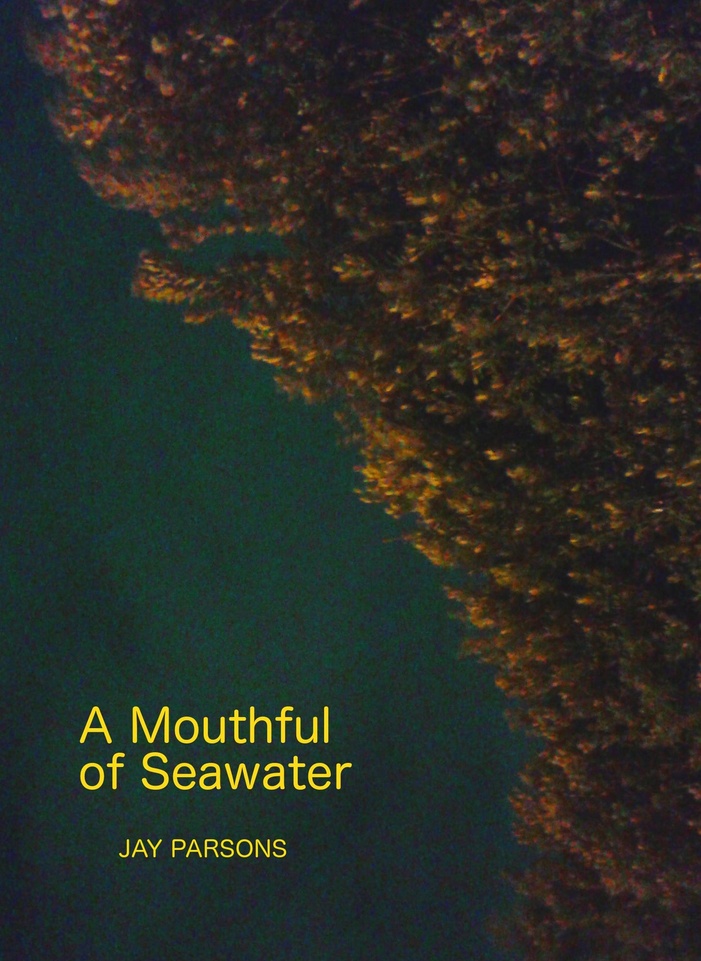 A Mouthful of Seawater